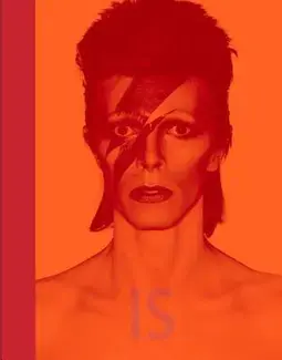 David Bowie Is /anglais