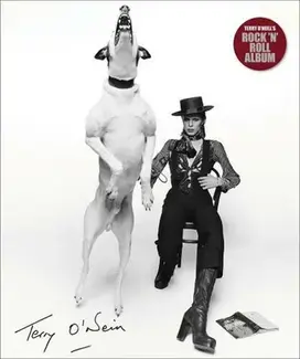 Terry O'Neill's Rock 'n' Roll Album (new ed) /anglais