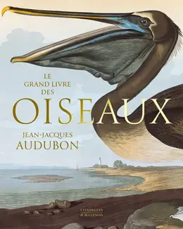 LE GRAND LIVRE DES OISEAUX