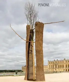 PENONE VERSAILLES