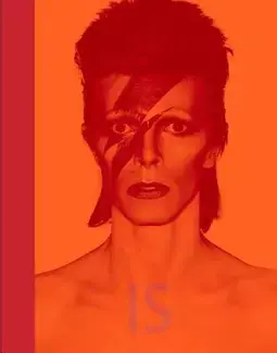 David Bowie Is /anglais